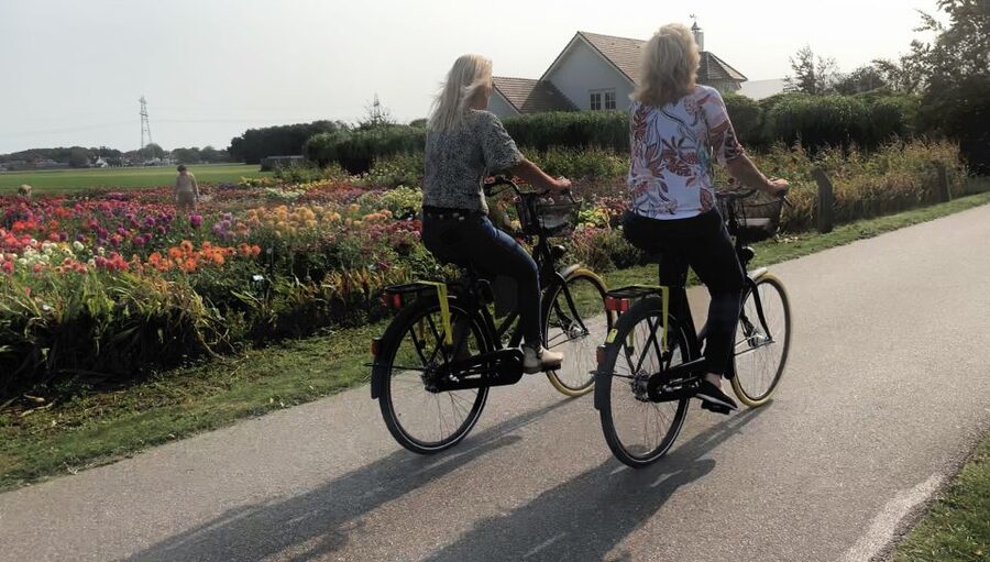 Bulb region: Dahlias Bicycle Tour - Agatha Church offers a quiet pause