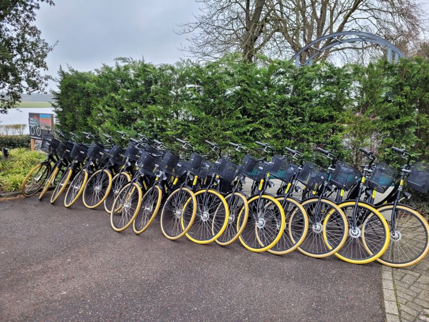Bulb region: Dahlias Bicycle Tour - The final dahlia showgarden at The Tulperij