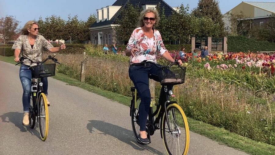 Bulb region: Dahlias Bicycle Tour - Is $50 a fair price?