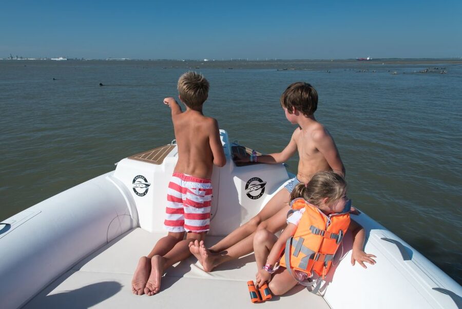 Cadzand: Seal Discovery Boat Tour with Glass of Champagne - From Boulevard de Wielingen 80 to the Westerschelde