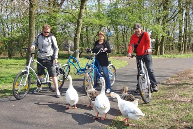 Cheese, Canals & Windmill Countryside E-Bike Tour Amsterdam - Guides, pace, and group size