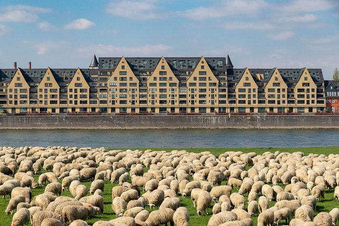 Cologne Private Full-Day Sightseeing Tour from Amsterdam - What the $627 price really buys