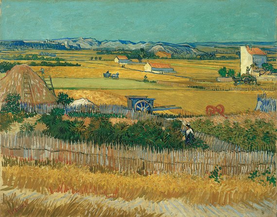 Combo Ticket: Van Gogh Museum Ticket and 1-Hour Canal Cruise - The timing problem in a three-hour package
