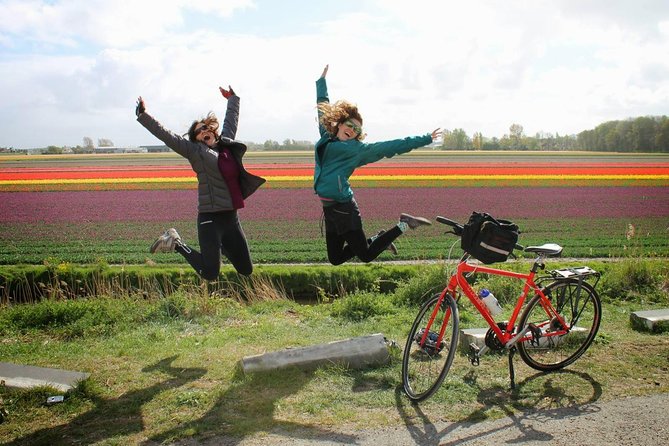 Country of Tulips Tour - Keukenhof and the bulb fields are the visual high point