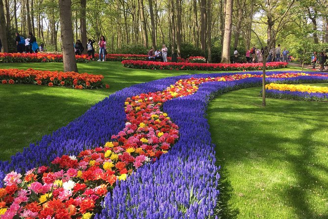 Country of Tulips Tour - From dunes and royal estates to Delft Blue pottery