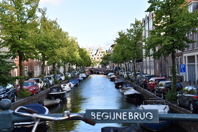 Cultural and Historical Audio guided walking tour Tour of Haarlem - Teylers Museum and the Waag