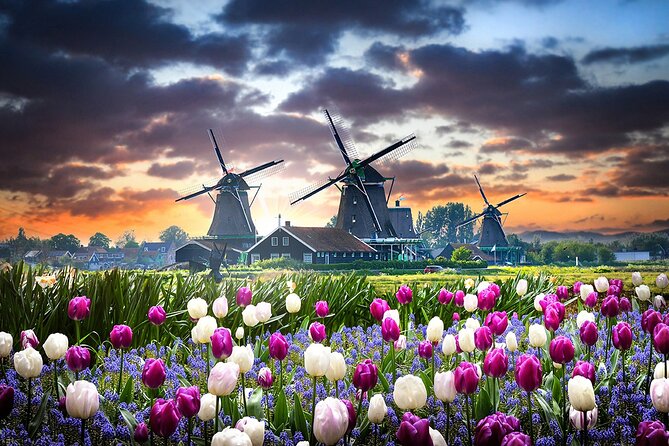 Customized Private Tour in Tesla to Zaandam, Windmills & Volendam - How the Tesla format affects the day