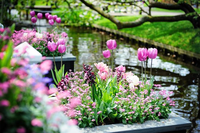 Day Trip to Keukenhof Gardens from Amsterdam with Tour Guide - Entering Keukenhof and the 45-minute introduction