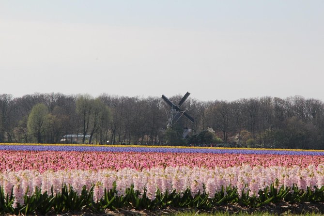 Day Trip To Tulip Gardens Of Keukenhof From Amsterdam: Private & Personalized - Entering 32 hectares of spring flowers