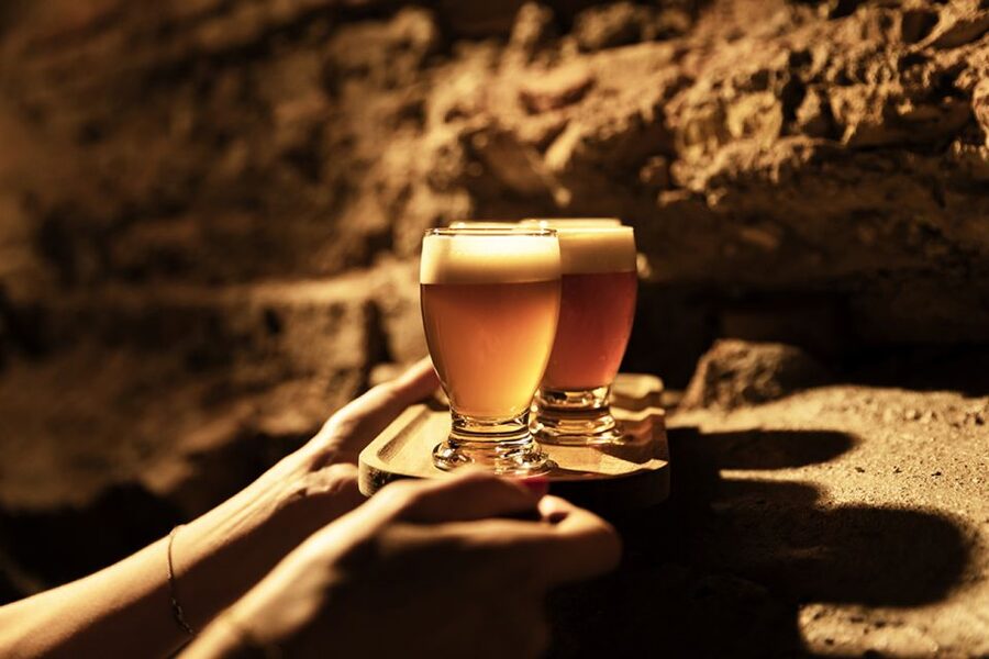 Delft: Craft Beer Tasting in Medieval Brewery with Snacks - Bavarian pretzels and the cheese-beer dip