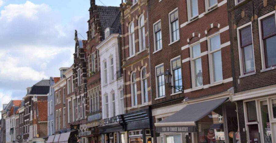 Delft: Private Historical and Cultural Guided Walking Tour - The Old Church, Prince’s Court, and historic windmill