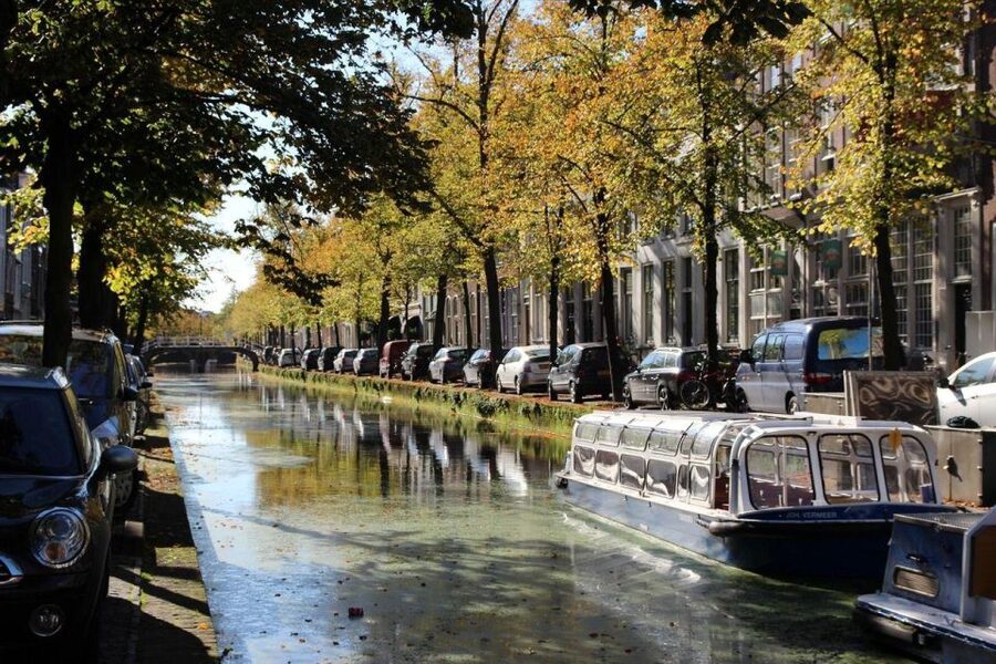 Delft Private Walking Tour - Pottery, politics, and Delft’s changing fortunes