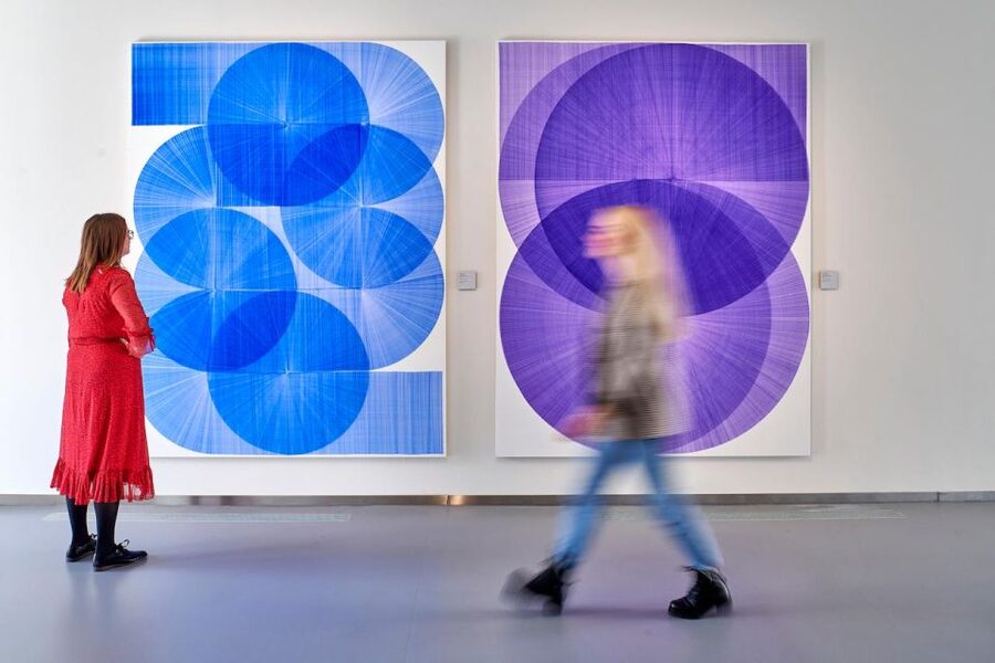 Den Bosch: Het Noordbrabants Museum Entry Ticket - Temporary exhibitions with an international reach
