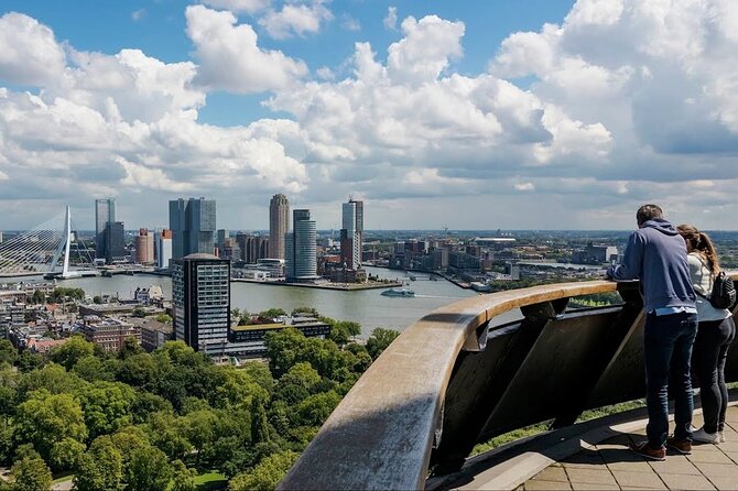 Den Haag- Delft- Rotterdam Private Day Tour From Amsterdam - Why this private south Holland tour works