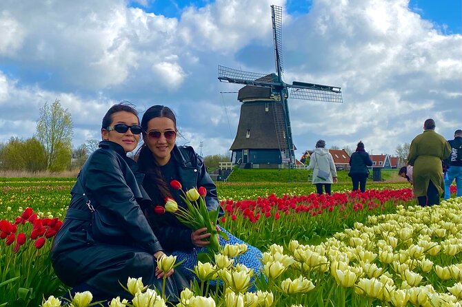 Discover Holland’s Beautiful Tulip Fields with an Expert Guide - Why this tour feels different from a garden visit
