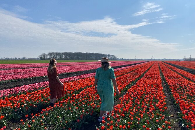 Discover Holland’s Beautiful Tulip Fields with an Expert Guide - The Schermer windmill explains Dutch water control