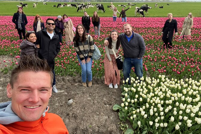 Discover Holland’s Beautiful Tulip Fields with an Expert Guide - How the guides shape the day