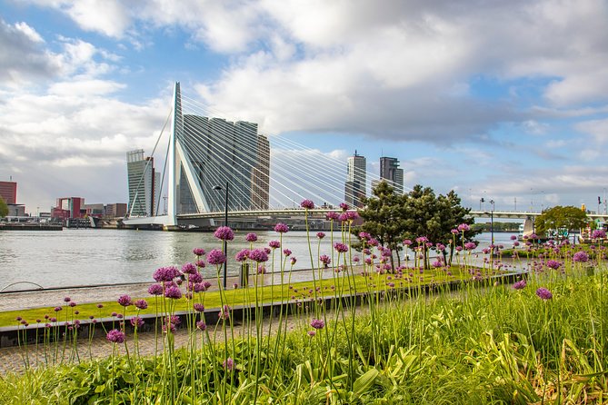 Discover Rotterdam’s most Photogenic Spots with a Local - Key points to know before you book