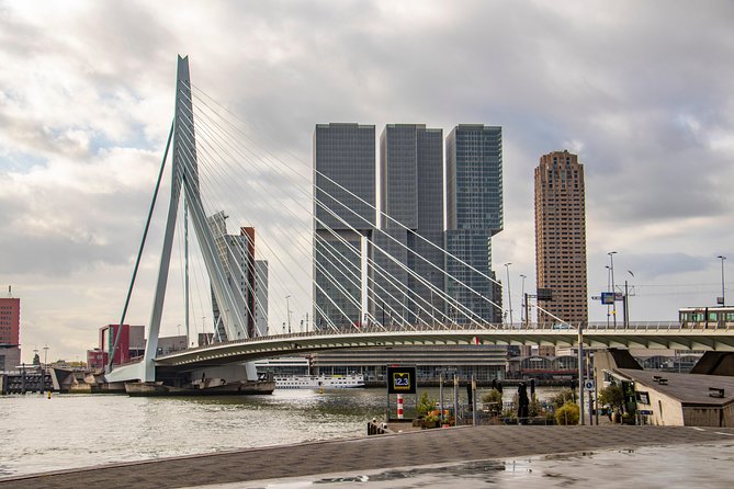 Discover Rotterdam’s most Photogenic Spots with a Local - Starting at Delftse Poort and Rotterdam Centraal