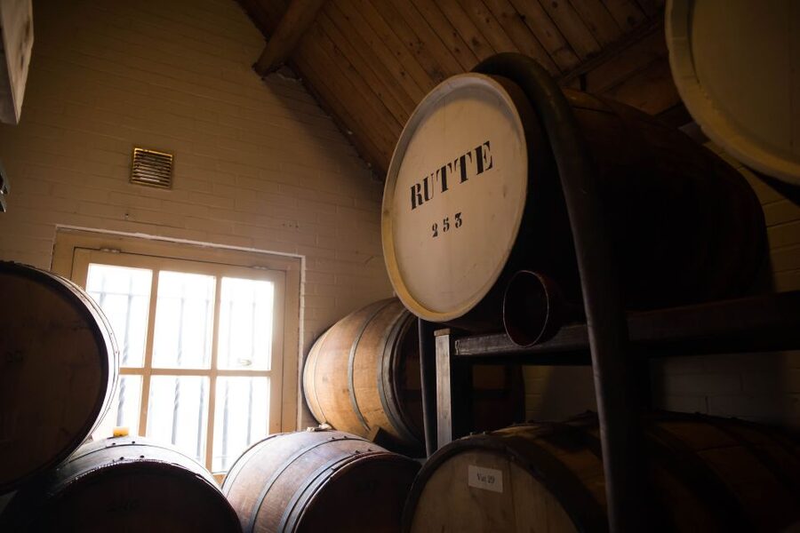 Dordrecht: Distillery Tour with Dutch Gin & Genever Tasting - The guide and the pace of the visit