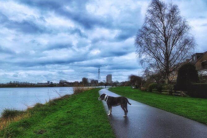 Dutch Windmills & Polder Walking Tour - Broekdijkmolen beside the golf course