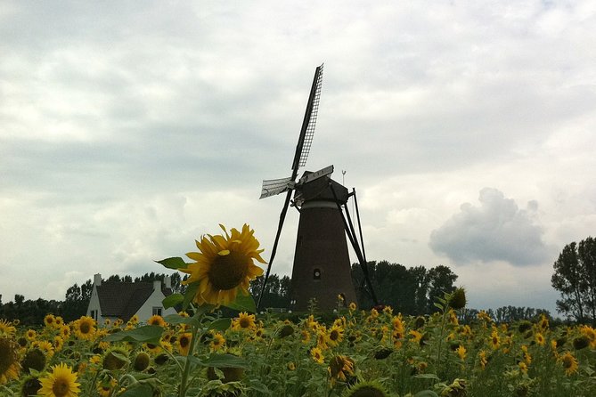 Eindhoven: E-Fatbike Tour In The Footsteps of Vincent van Gogh - Why This Ride Adds More Than a Museum Visit