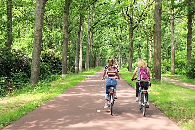 Eindhoven: Guided bicycle tour of the Highlights of Eindhoven - Philips Stadion and the old Philipsdorp