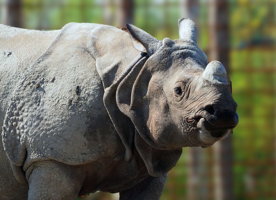 Eindhoven Zoo Entry Ticket - Elephants, rhinos, bears, and unusual sightings