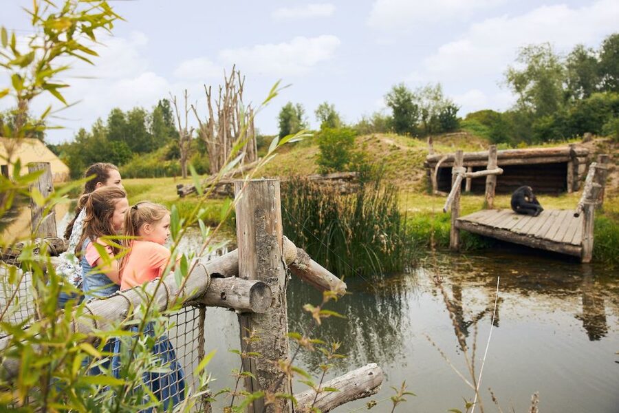 Eindhoven Zoo Entry Ticket - Chimpanzees, red pandas, and meerkats