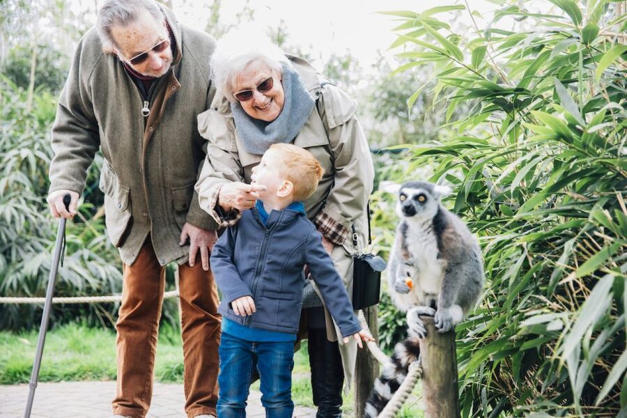 Eindhoven Zoo Entry Ticket - More than 400 bird species