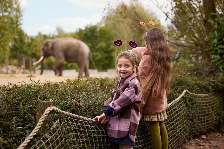 Eindhoven Zoo Entry Ticket - Getting to Eindhoven Zoo without stress