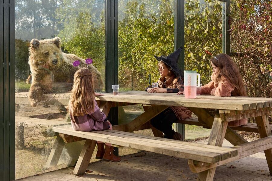 Eindhoven Zoo Entry Ticket - How to plan your visit