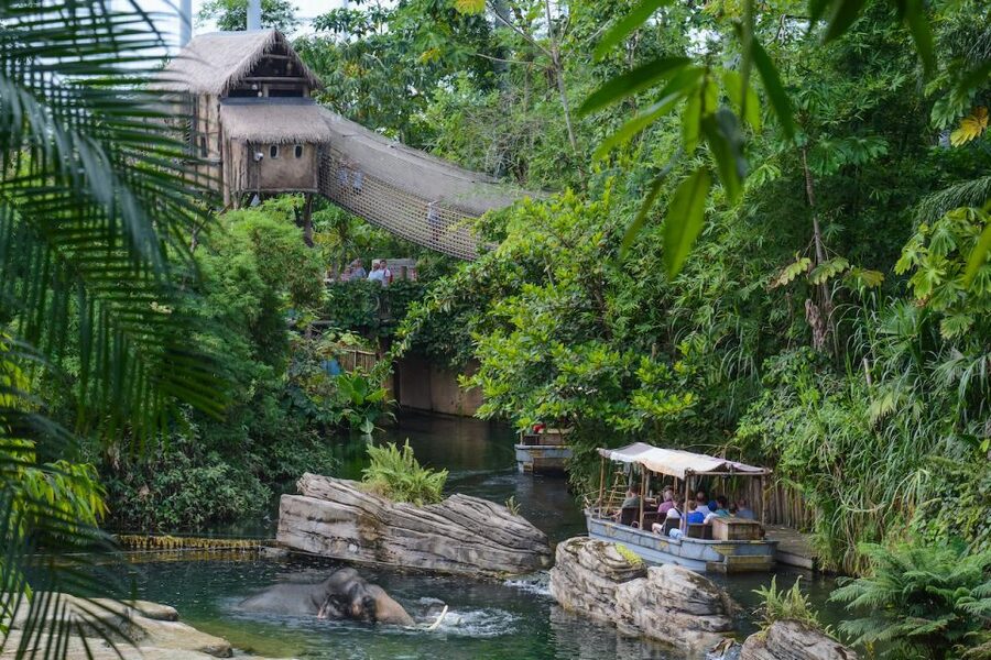 Emmen: Wildlands Adventure Zoo and Rimbula River Boat Ride - Animazia turns a zoo visit into a family day out