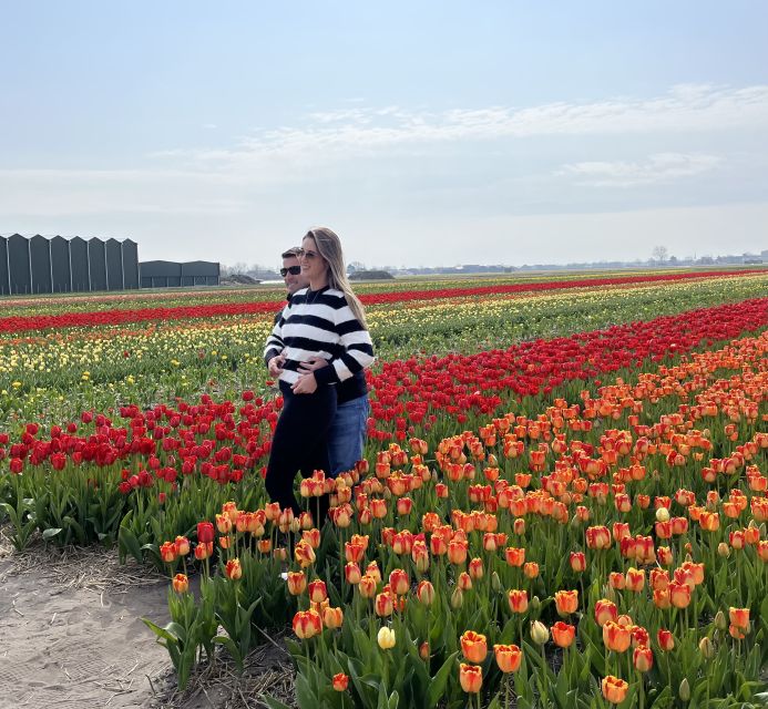 Enjoy the tulip fields by bike with a guide (small group)! - The Tulip Farm stop and its show garden