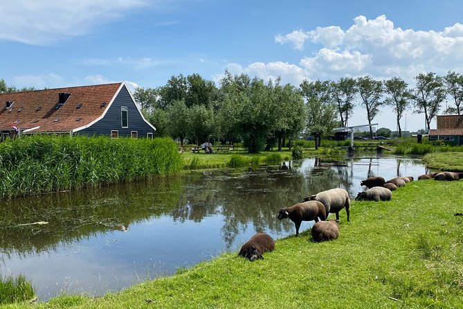 Escape Amsterdam: E-Bike to Zaanse Schans Windmills & Zaandam - Why this route gives you more than a windmill photo
