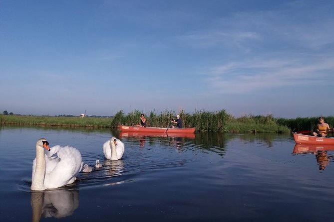 Fresh nose tour with the canoe through the nature near Amsterdam - Who will enjoy this canoe trip?