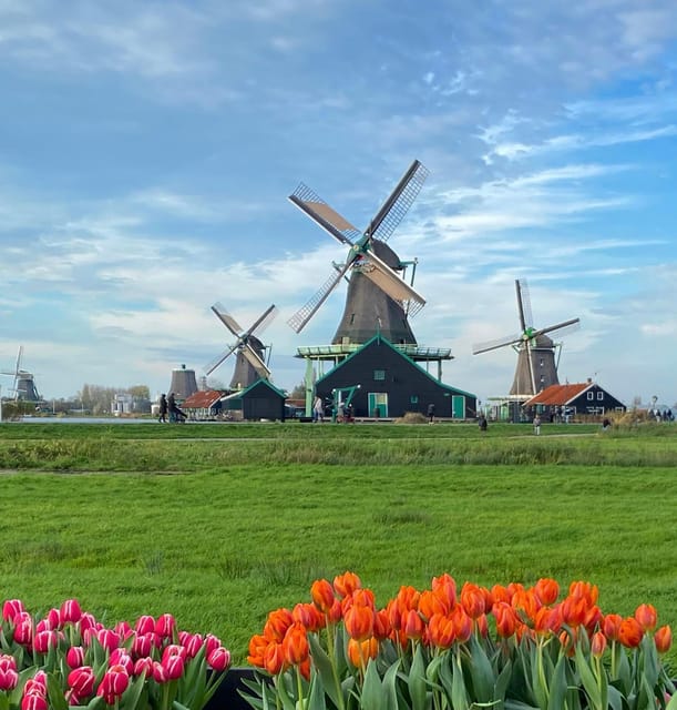 From Amsterdam; Alkmaar Cheese market & Zaanse Schans - Zaanse Schans and its postcard windmills