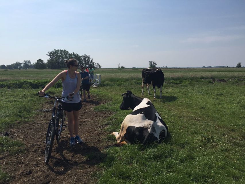 From Amsterdam: Countryside Bike Tour - Leaving Amsterdam by ferry and bicycle