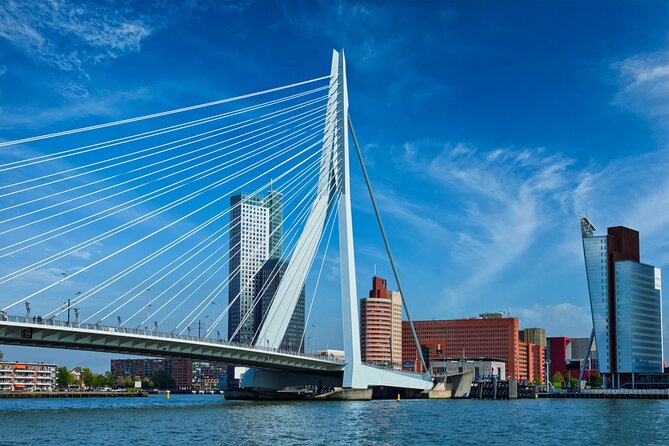 From Amsterdam: Day Trip to Rotterdam, Delft & Hague with Cruise - Guide style, group size, and comfort