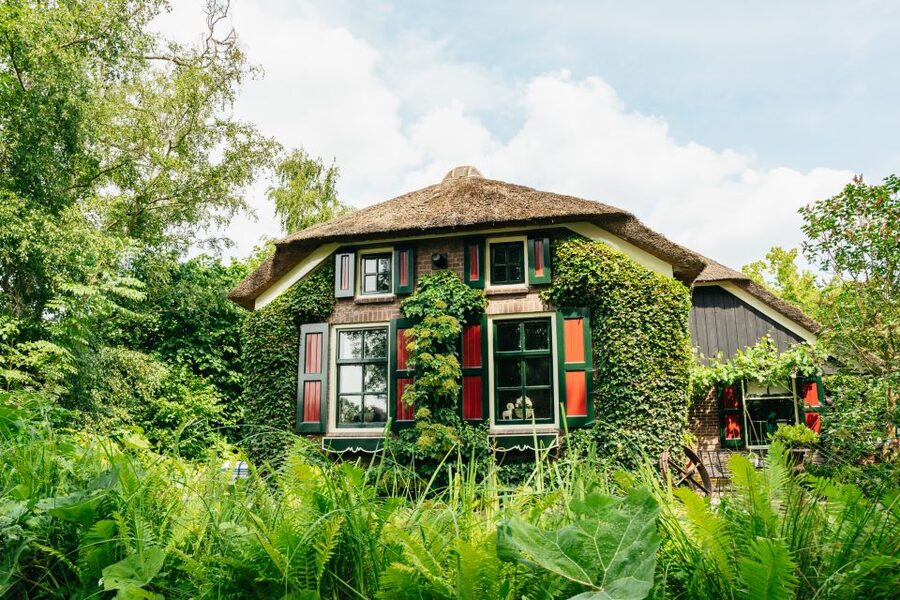 From Amsterdam: Giethoorn & Zaanse Schans Tour w/ Small Boat - Who will enjoy this day most?