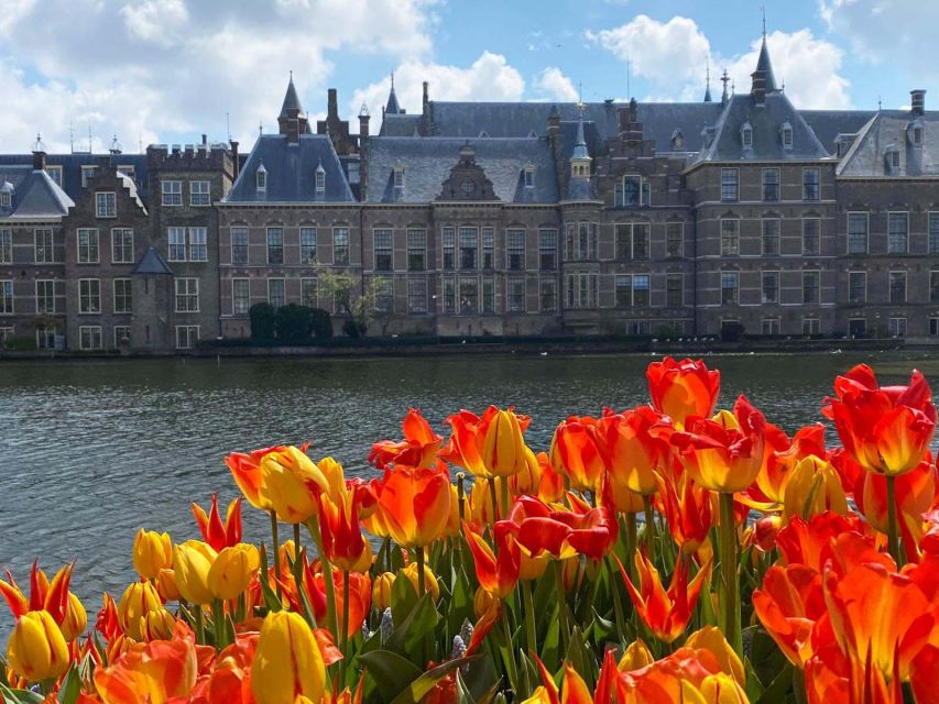 From Amsterdam: Guided Trip to Rotterdam, Delft & The Hague - Key points to know before booking