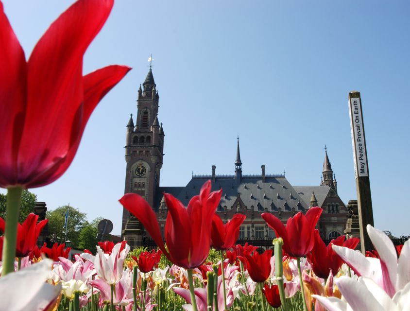 From Amsterdam: Guided Trip to Rotterdam, Delft & The Hague - Delft: canals, churches and a slower Dutch rhythm