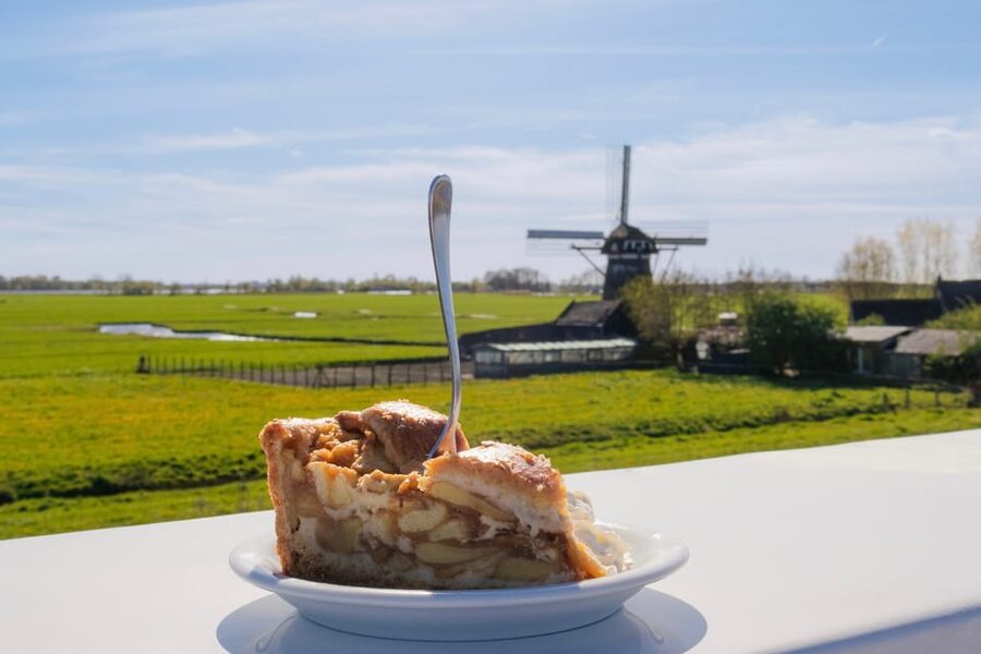 From Amsterdam: Holland Flower and Windmill Tour - summer ed - A coffee break with Anja’s apple pie