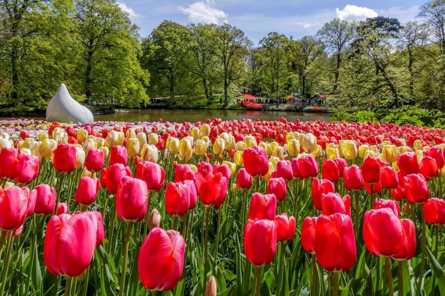 From Amsterdam: Keukenhof and Dutch Countryside Tour - The five details that shape your day