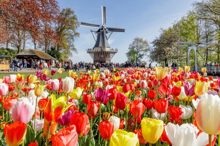 From Amsterdam: Keukenhof and Dutch Countryside Tour - What the price represents