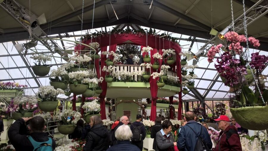 From Amsterdam: Keukenhof and Zaanse Schans Small Group Tour - Why this pairing works so well