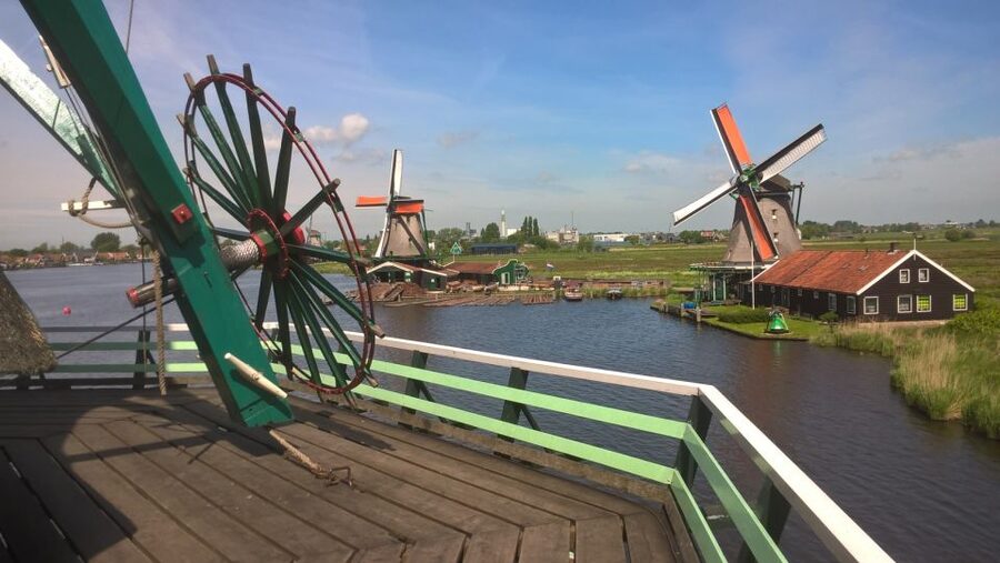 From Amsterdam: Keukenhof and Zaanse Schans Small Group Tour - Three hours among Keukenhof’s tulips