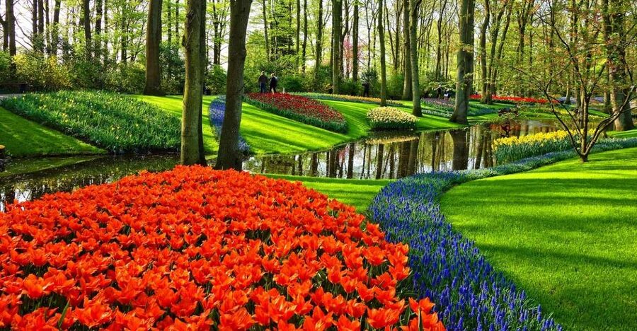 From Amsterdam: Keukenhof Gardens and Giethoorn Tour - Giethoorn changes the mood completely
