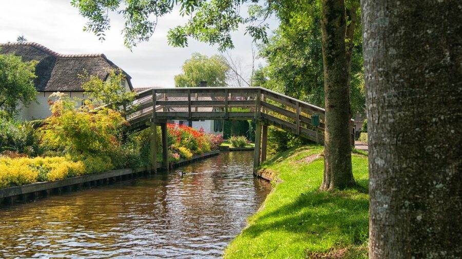 From Amsterdam: Keukenhof Gardens and Giethoorn Tour - The Tulip Experience explains the flower behind the postcard
