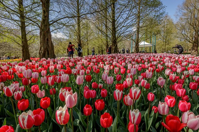From Amsterdam: Keukenhof Gardens Ticket and Transfer - Returning to Amsterdam without stress